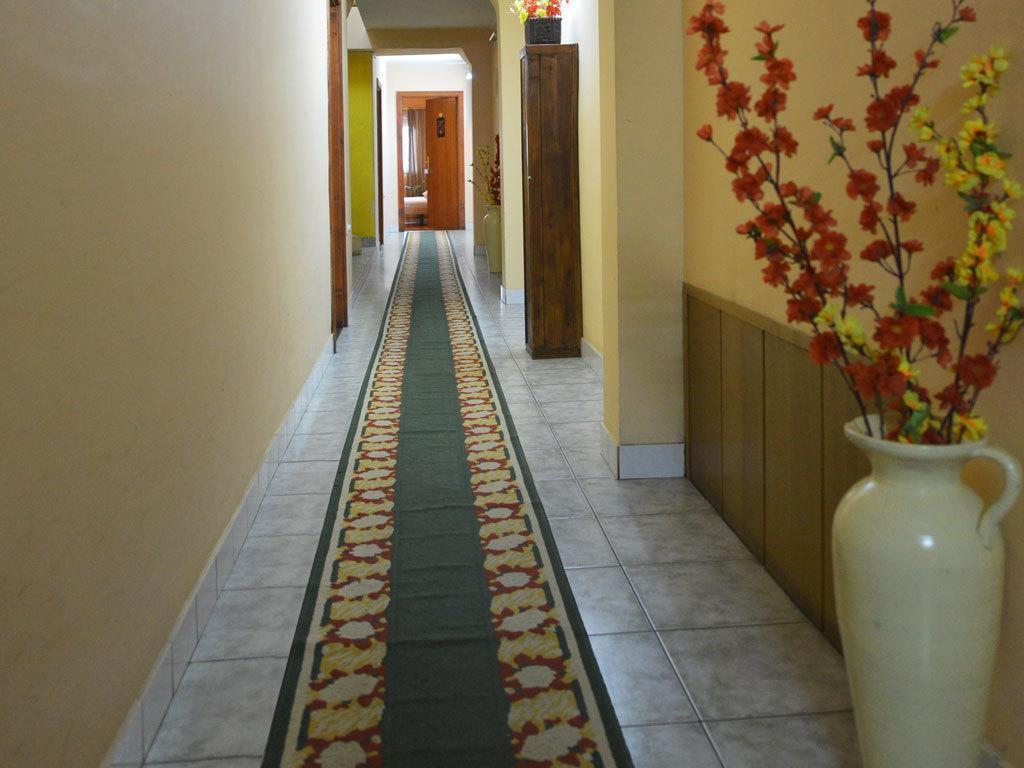 Guest House Vila Bor 诺威萨 外观 照片